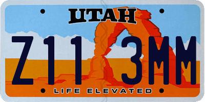 UT license plate Z113MM