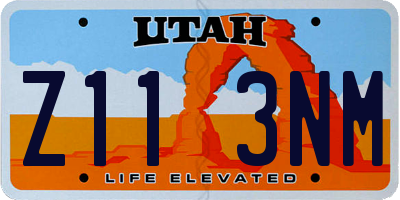UT license plate Z113NM