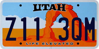 UT license plate Z113QM