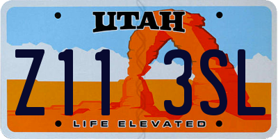 UT license plate Z113SL