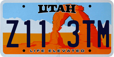 UT license plate Z113TM