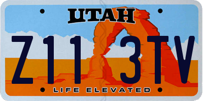 UT license plate Z113TV