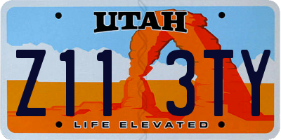 UT license plate Z113TY
