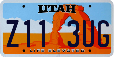 UT license plate Z113UG