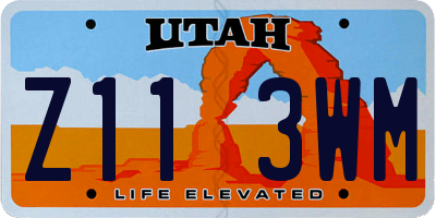 UT license plate Z113WM