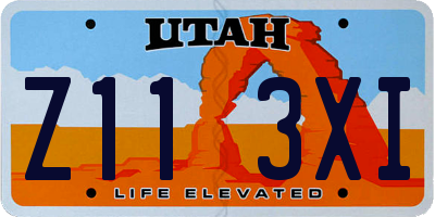 UT license plate Z113XI