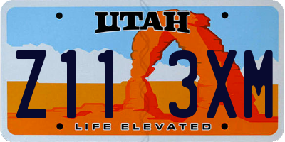 UT license plate Z113XM
