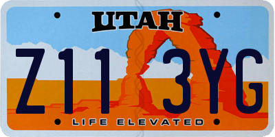 UT license plate Z113YG