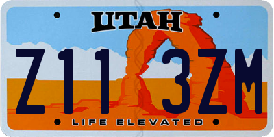 UT license plate Z113ZM