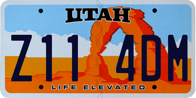 UT license plate Z114DM