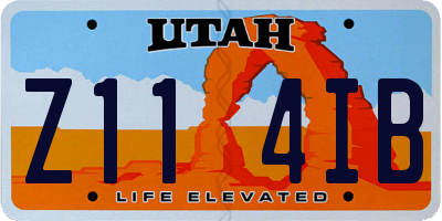 UT license plate Z114IB