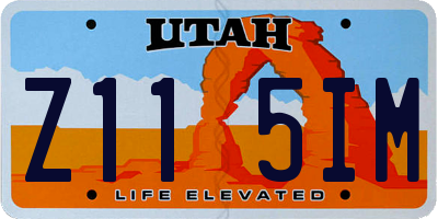UT license plate Z115IM