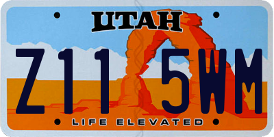 UT license plate Z115WM