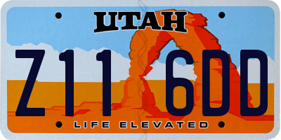 UT license plate Z116DD