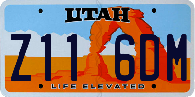 UT license plate Z116DM