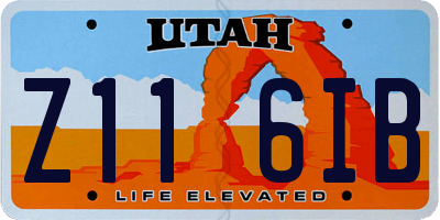 UT license plate Z116IB