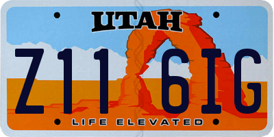 UT license plate Z116IG