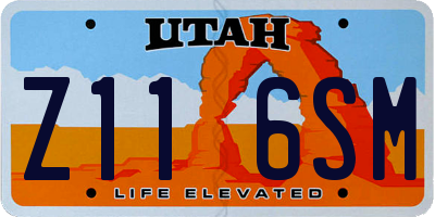 UT license plate Z116SM