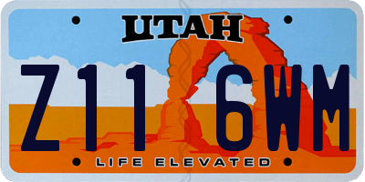 UT license plate Z116WM