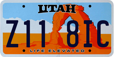 UT license plate Z118IC