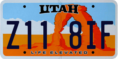UT license plate Z118IF