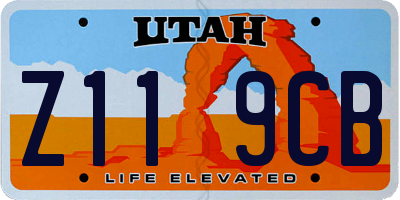 UT license plate Z119CB