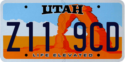 UT license plate Z119CD