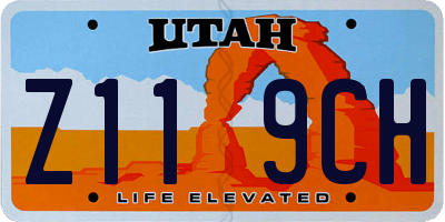 UT license plate Z119CH