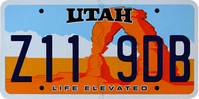 UT license plate Z119DB