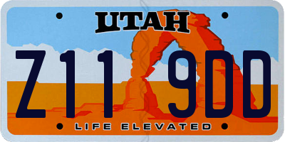 UT license plate Z119DD