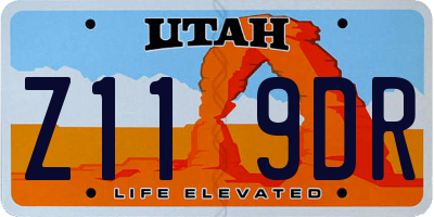 UT license plate Z119DR