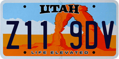 UT license plate Z119DV