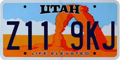 UT license plate Z119KJ