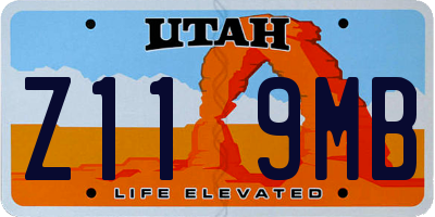 UT license plate Z119MB