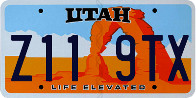 UT license plate Z119TX