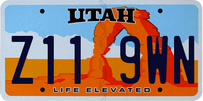 UT license plate Z119WN