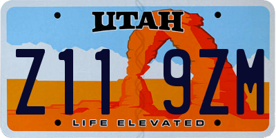 UT license plate Z119ZM