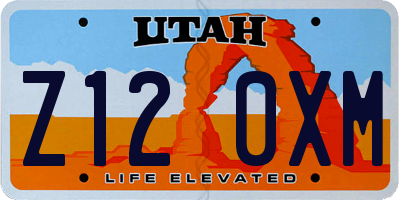 UT license plate Z120XM