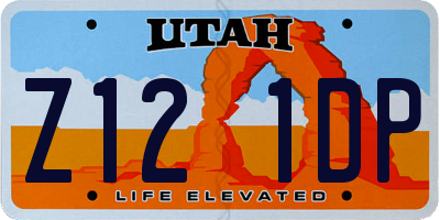 UT license plate Z121DP