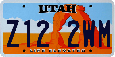 UT license plate Z122WM