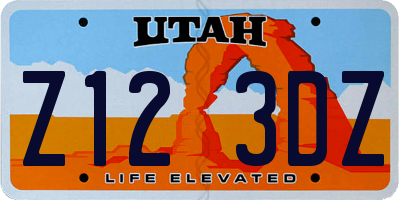 UT license plate Z123DZ