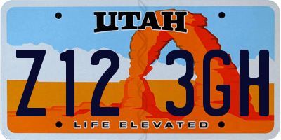 UT license plate Z123GH