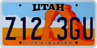 UT license plate Z123GU