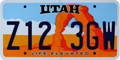 UT license plate Z123GW