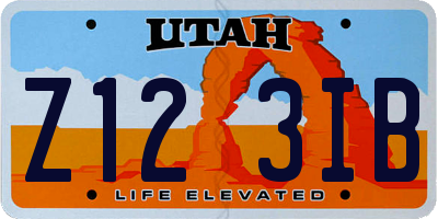 UT license plate Z123IB