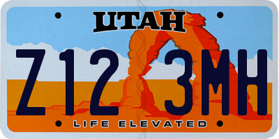 UT license plate Z123MH