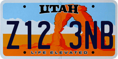 UT license plate Z123NB