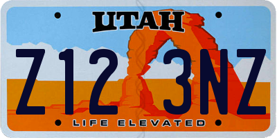 UT license plate Z123NZ