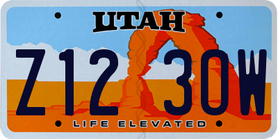 UT license plate Z123OW