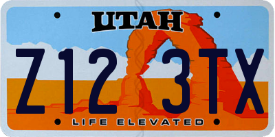 UT license plate Z123TX